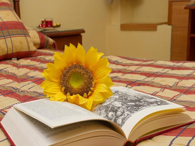 Photo of Bedroom in El Espinar