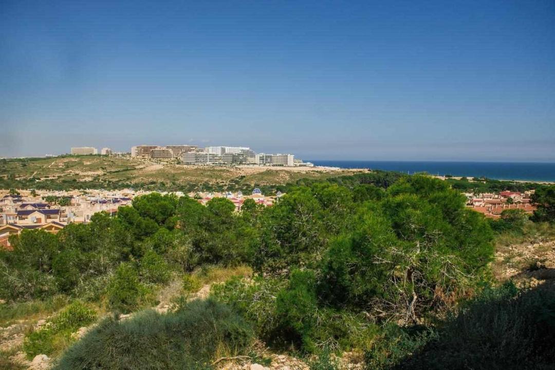Photo of Others in Los Arenales del Sol