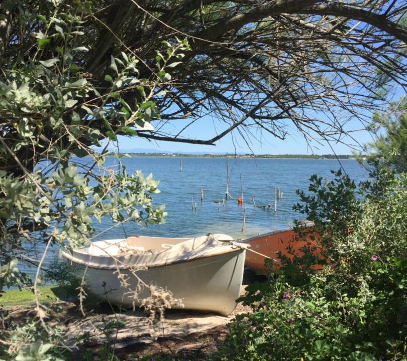 Photo of Outdoor in Bages