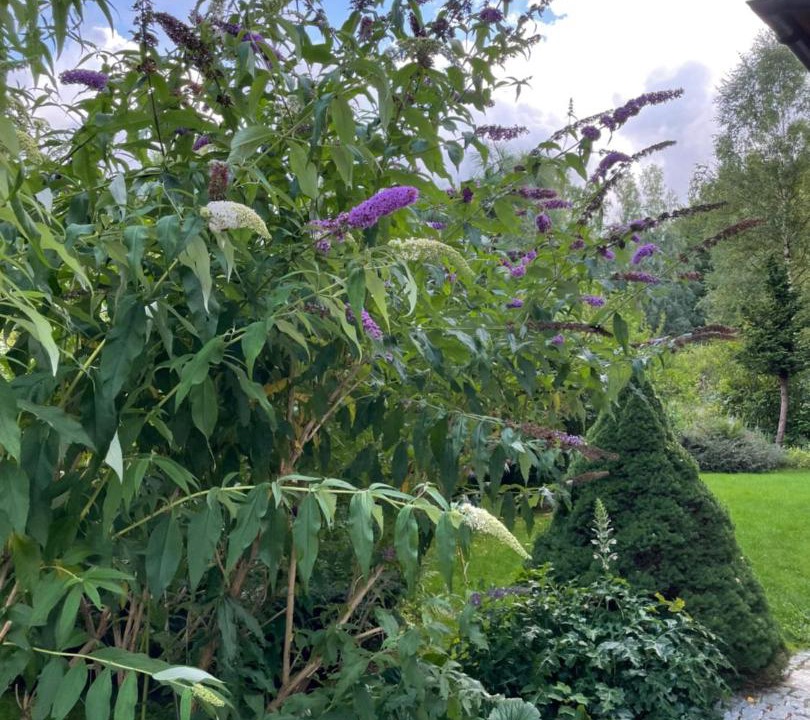 Photo of Outdoor in Piechowice