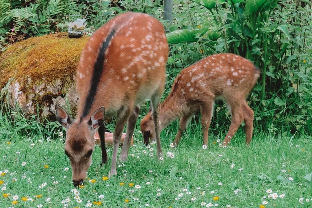 Photo of Others in Belcoo
