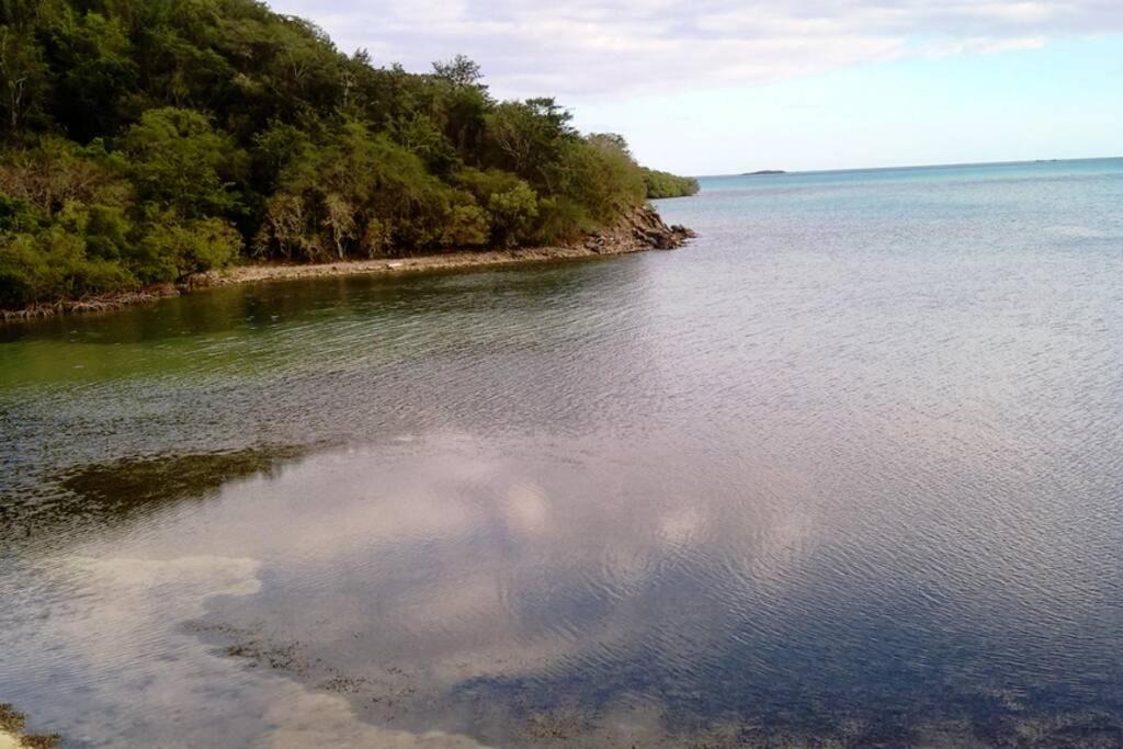 Photo of Others in Lajas