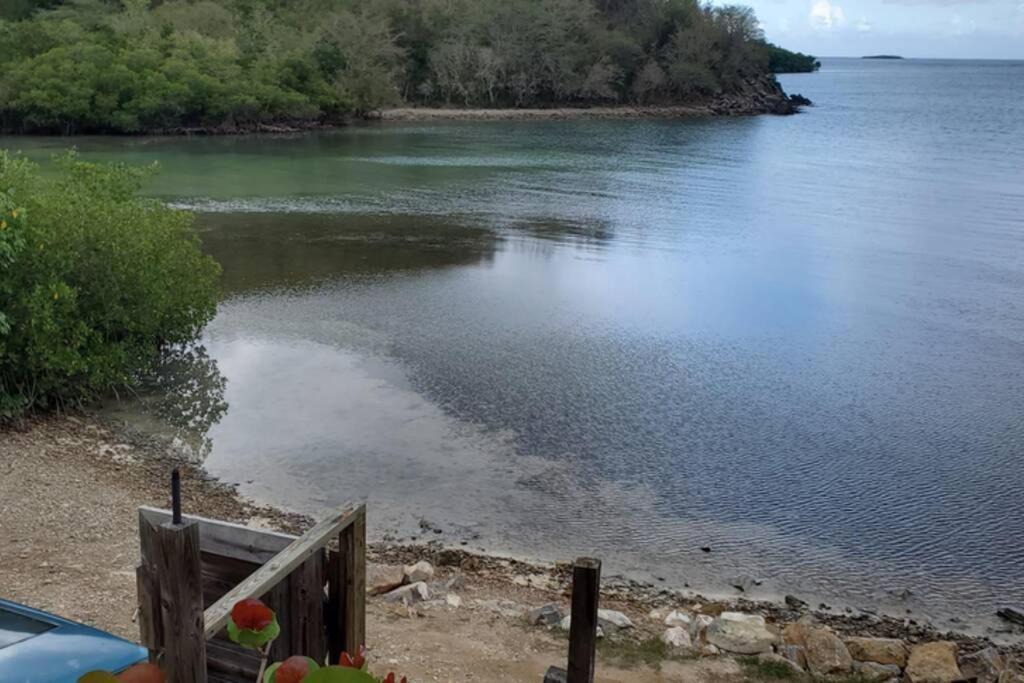 Photo of Others in Lajas