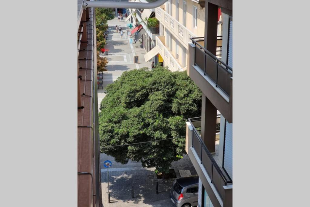 Photo of Others in Volos City Centre