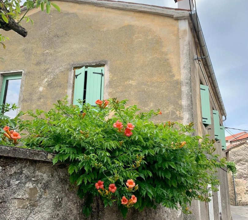 Photo of Buildings in Slap