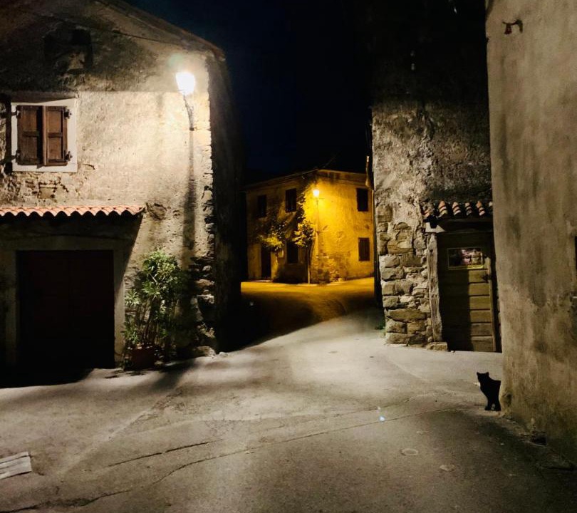 Photo of Buildings in Slap