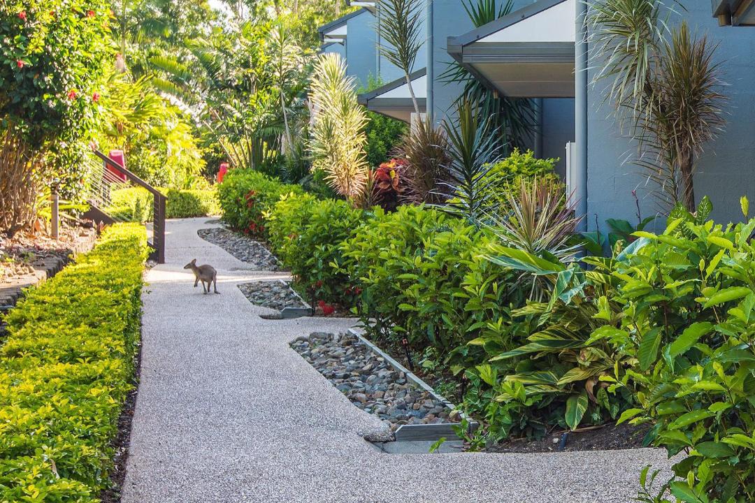 Photo of Others in Hamilton Island