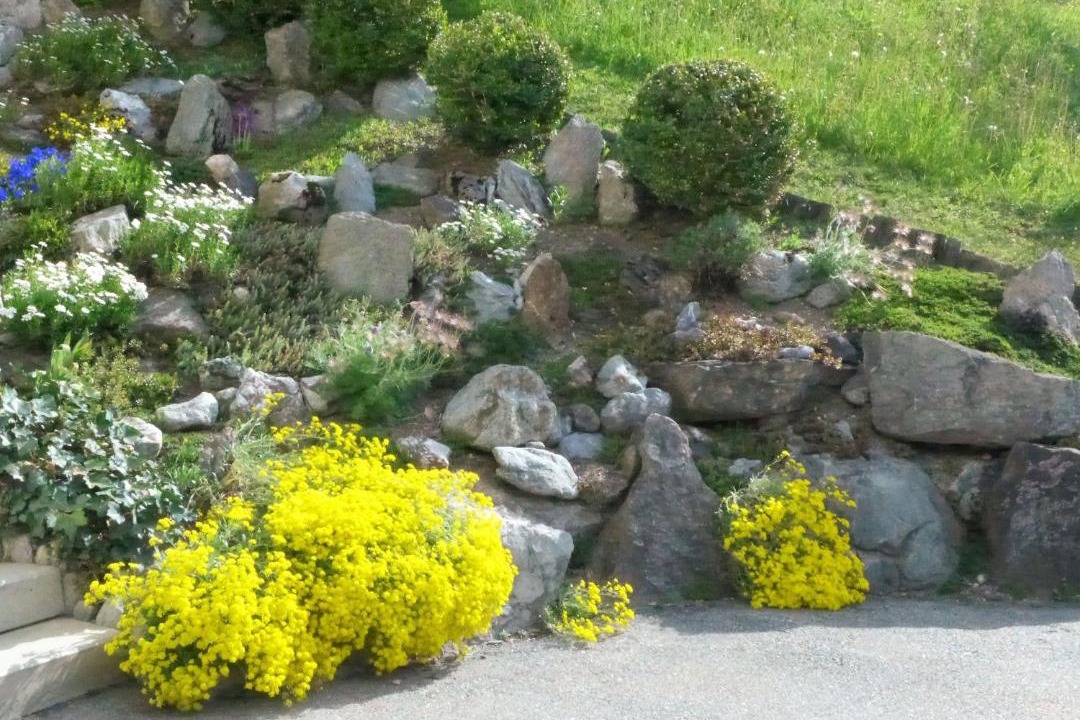 Photo of Outdoor in Grindelwald