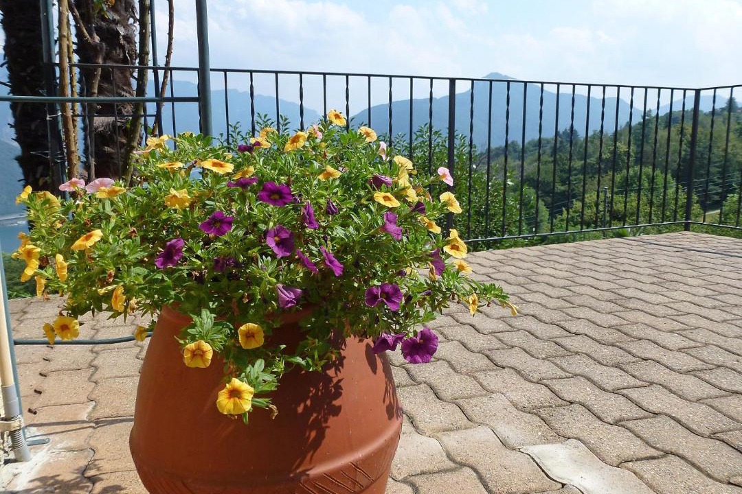 Photo of Patio Balcony in Carona