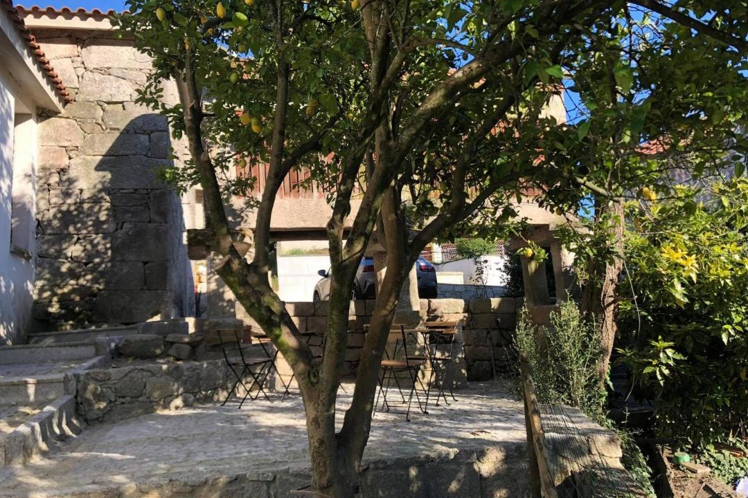 Photo of Others in Cabril