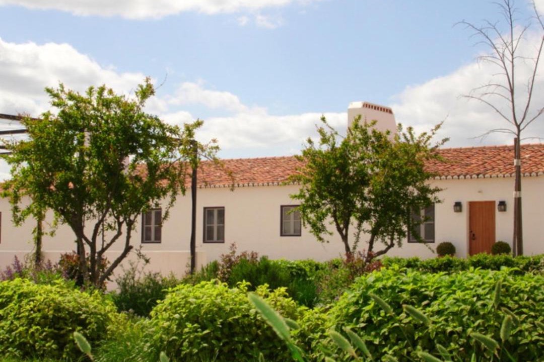 Photo of Buildings in Alter do Chao
