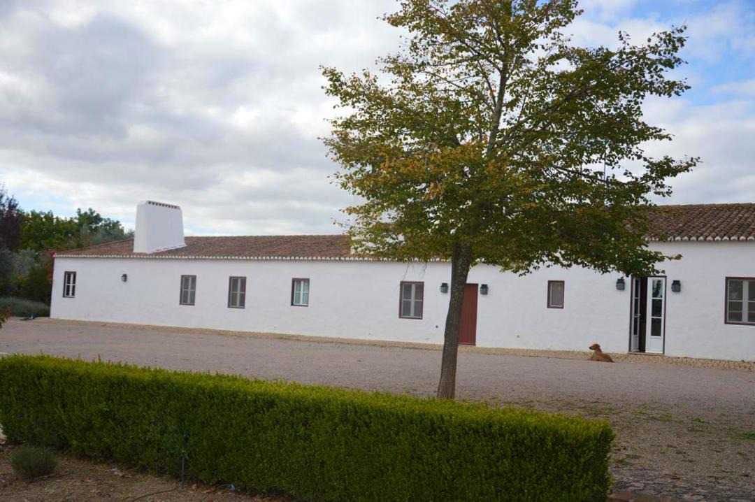 Photo of Buildings in Alter do Chao