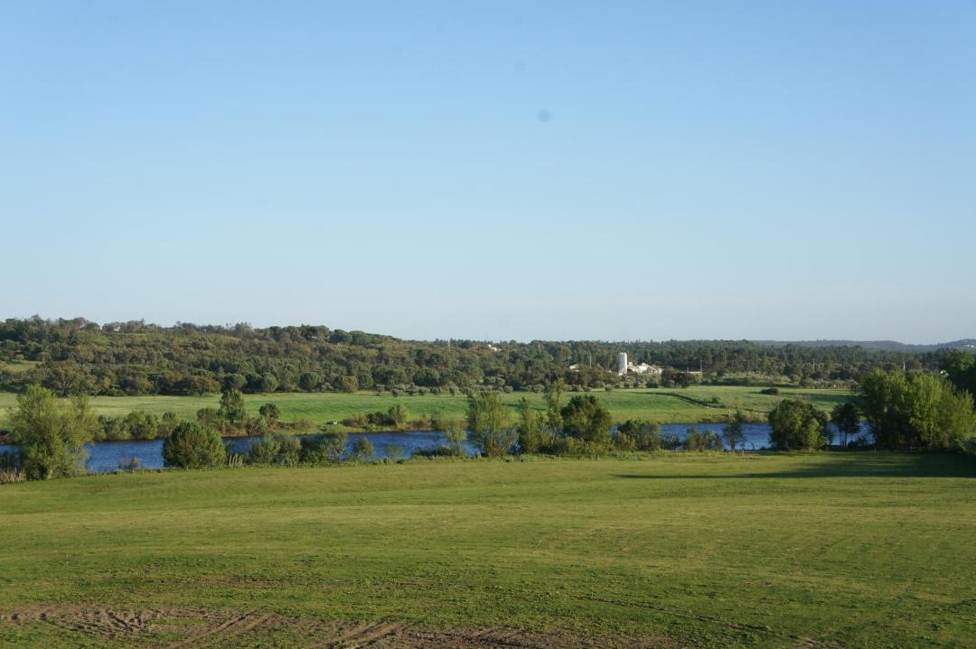 Photo of Others in Alferrarede