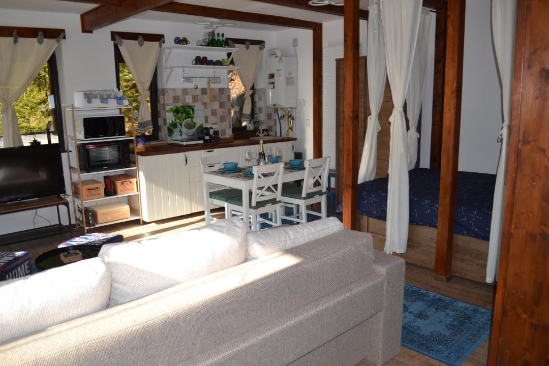 Photo of Livingroom in Azuga