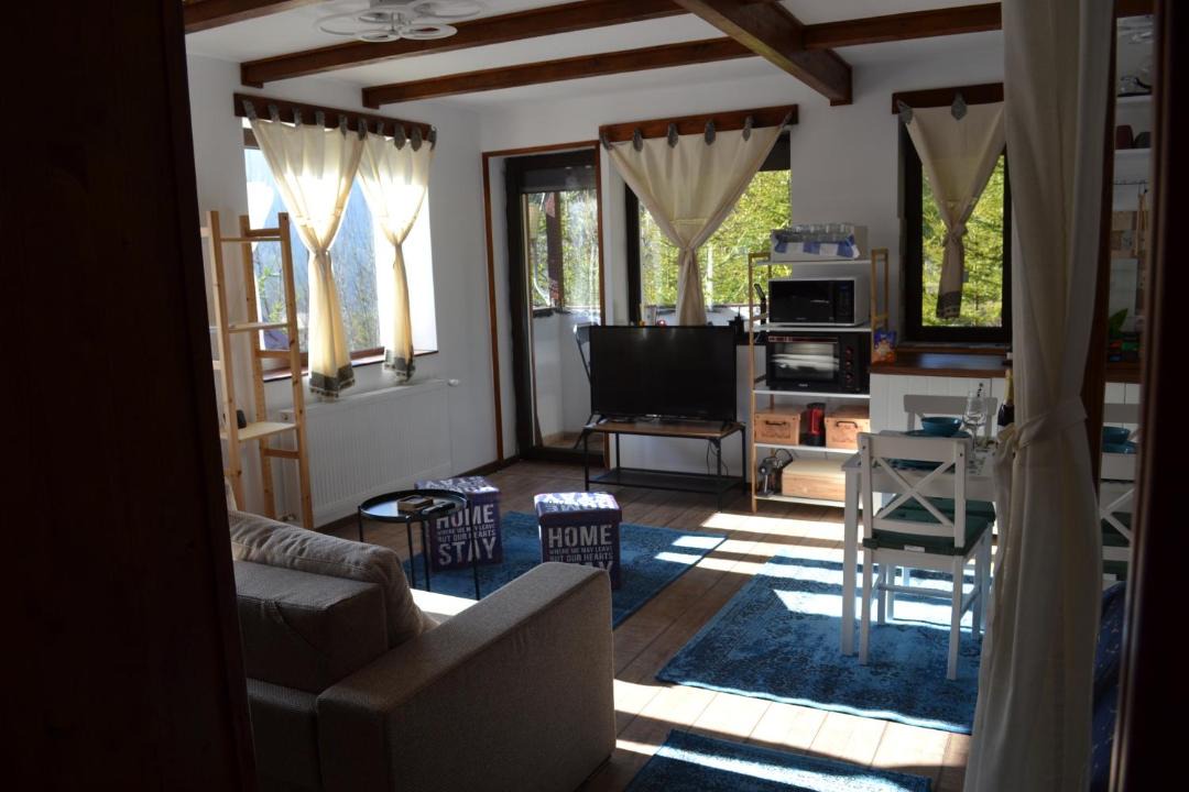 Photo of Livingroom in Azuga