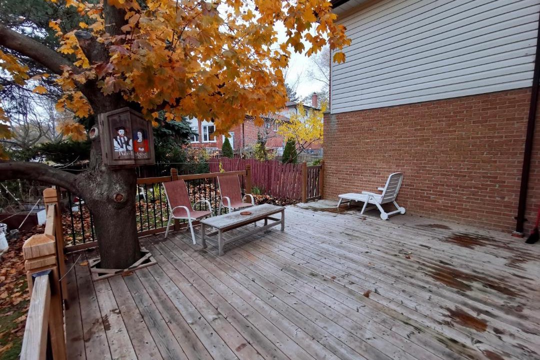 Photo of Others in Bayview Woods - Steeles