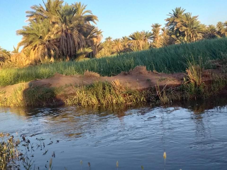 Photo of Outdoor in M'Hamid El Ghizlane