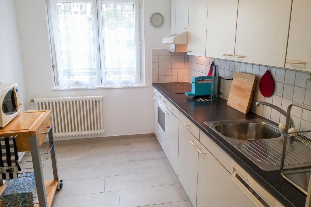 Photo of Kitchen in Minusio