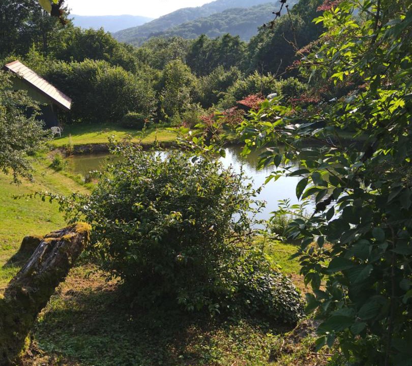 Photo of Others in Fresse
