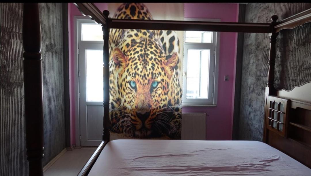 Photo of Livingroom in Besiktas