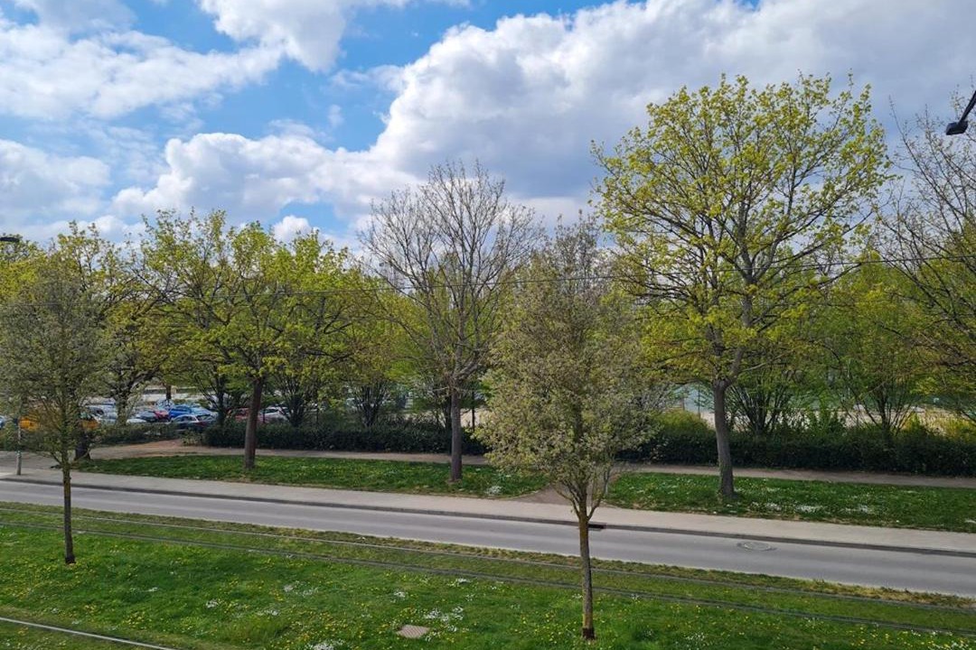 Photo of Outdoor in Faubourg-Raines