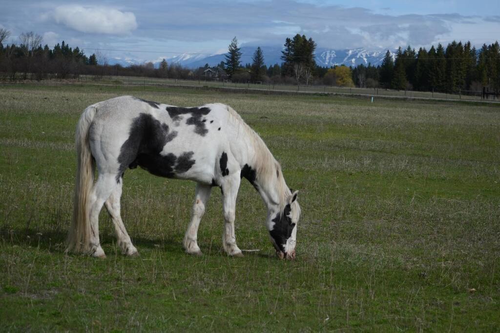 Photo of Others in Evergreen