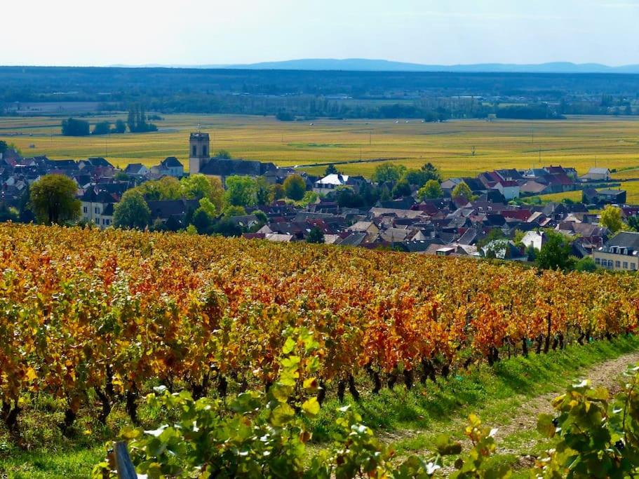Photo of Outdoor in Pommard