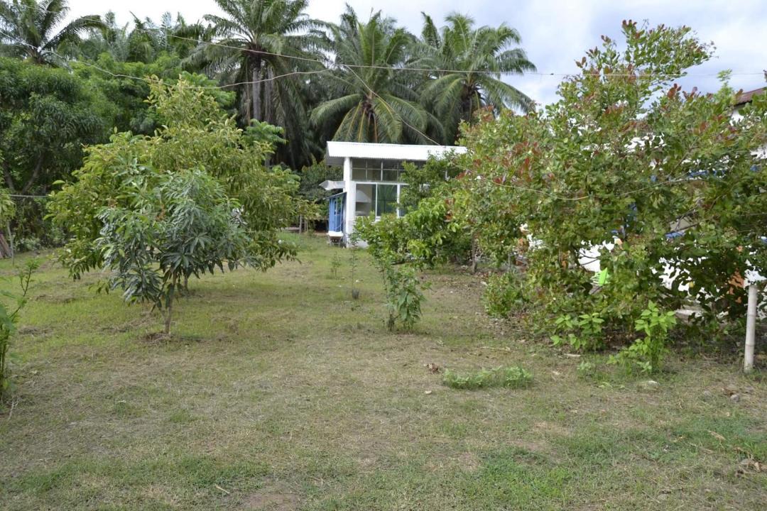 Photo of Others in Parrita