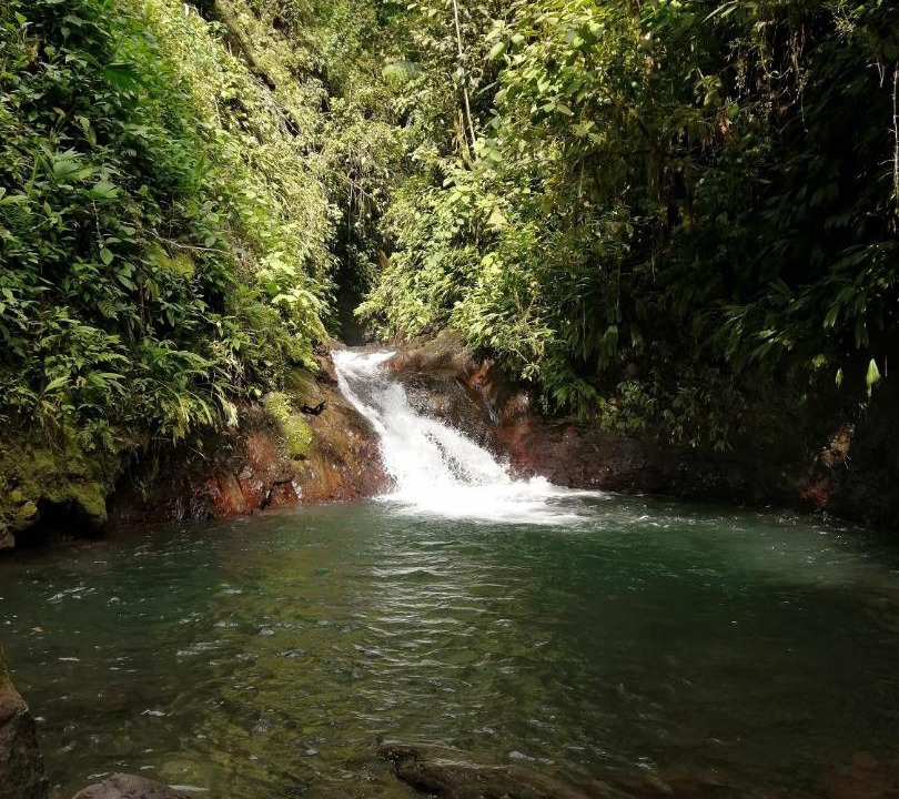 Photo of Outdoor in Parrita