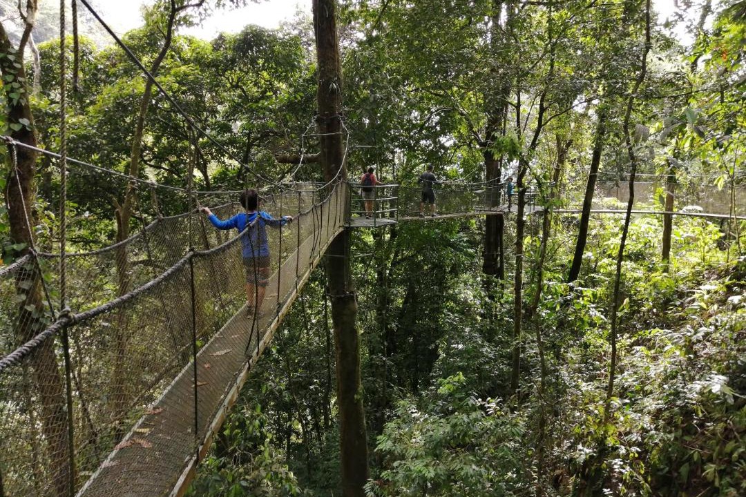 Photo of Others in Parrita