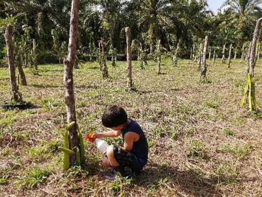 Photo of Others in Parrita
