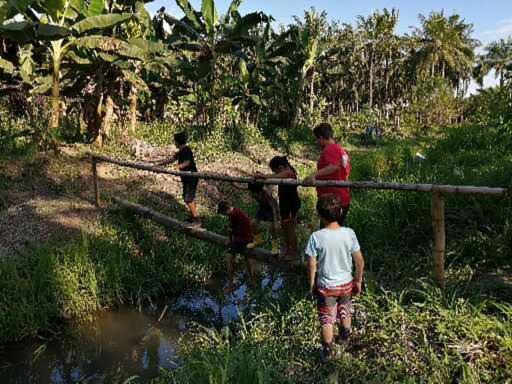 Photo of Others in Parrita