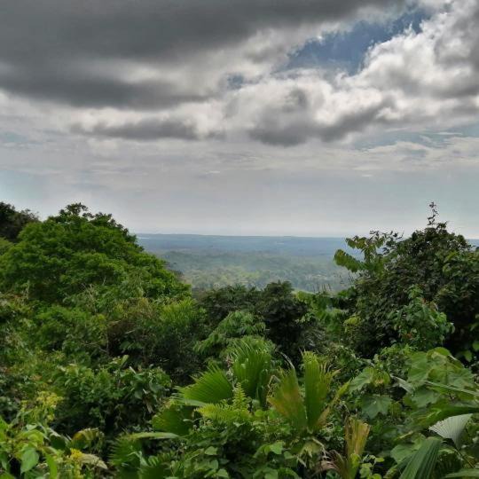 Photo of Outdoor in Parrita