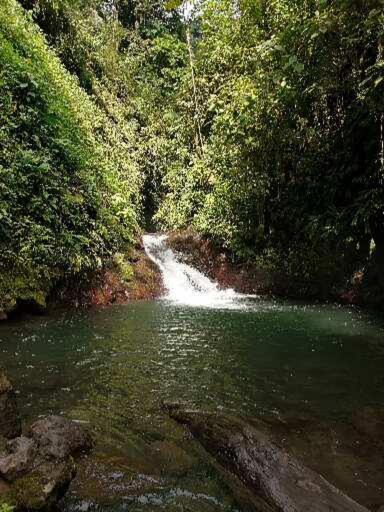 Photo of Outdoor in Parrita