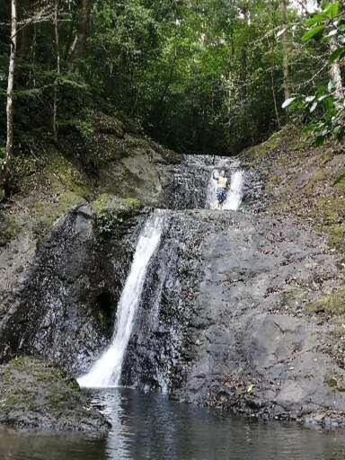 Photo of Others in Parrita