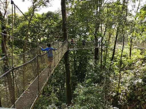 Photo of Others in Parrita