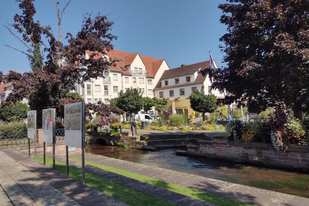 Photo of Buildings in Niederbronn-les-Bains