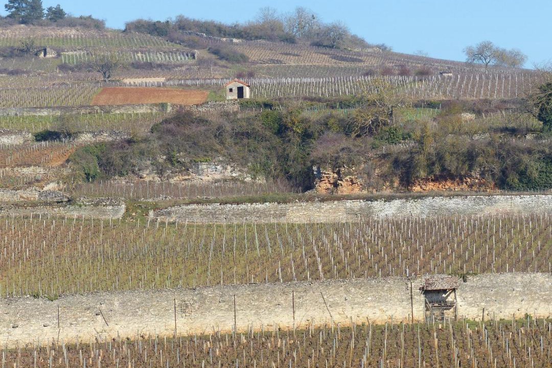 Photo of Outdoor in Pommard