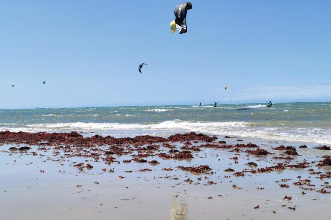 Photo of Outdoor in Colonia de Pescadores