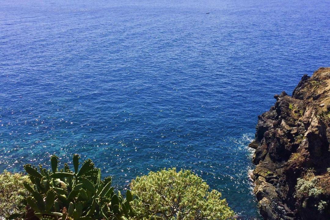 Photo of Outdoor in Canico