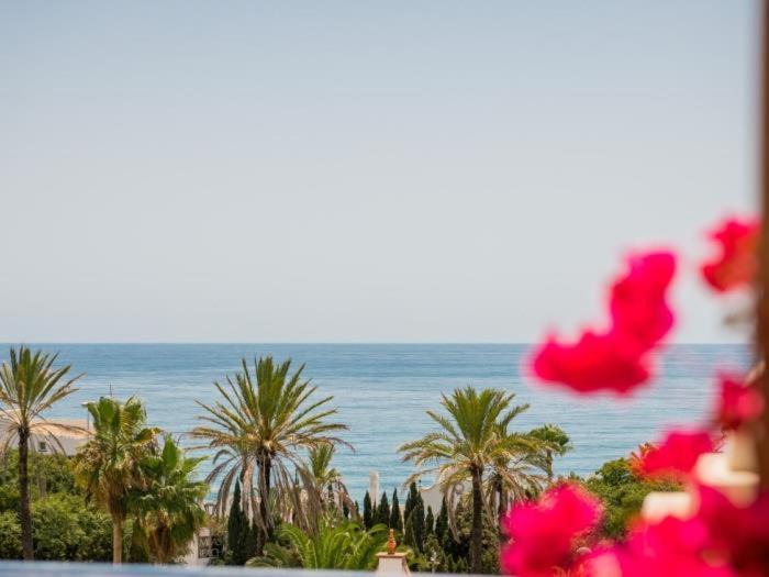Photo of Others in Mijas