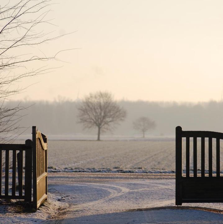 Photo of Others in Lelystad