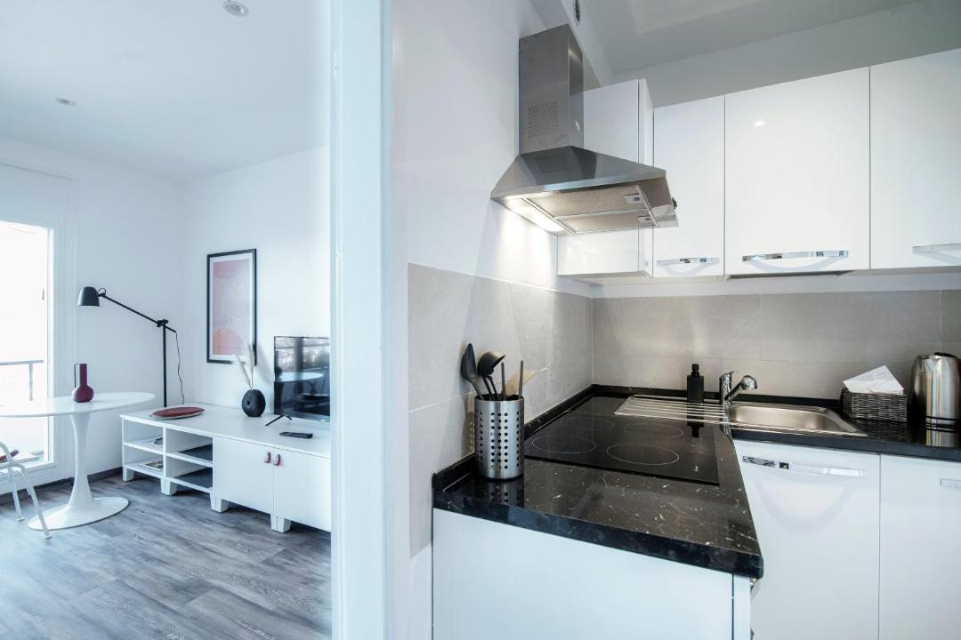 Photo of Kitchen in Pregassona