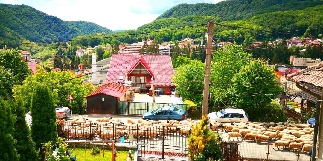 Photo of Others in Baile Olanesti