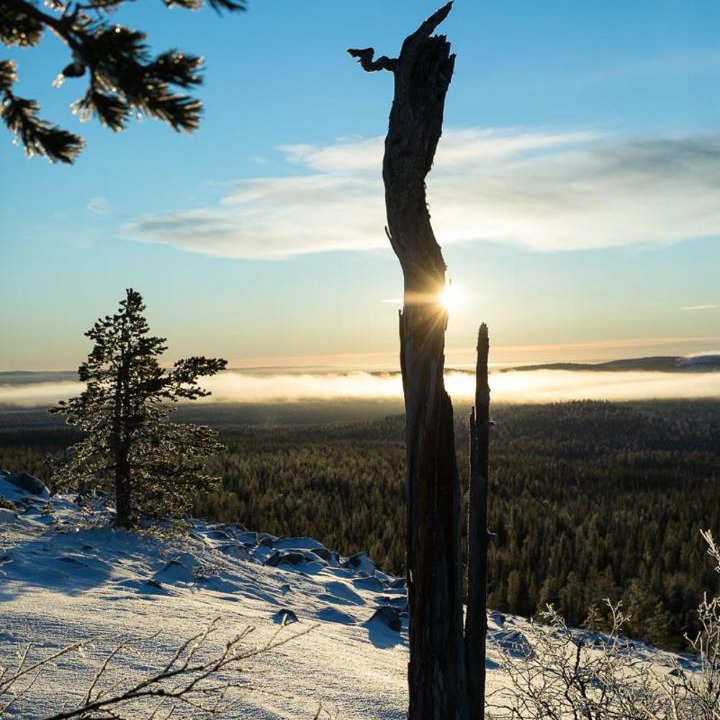Photo of Others in Yllas