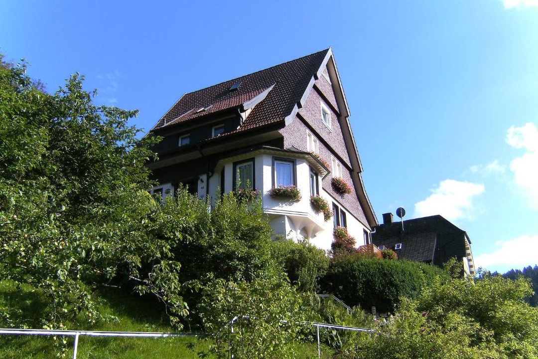 Photo of Others in Triberg im Schwarzwald