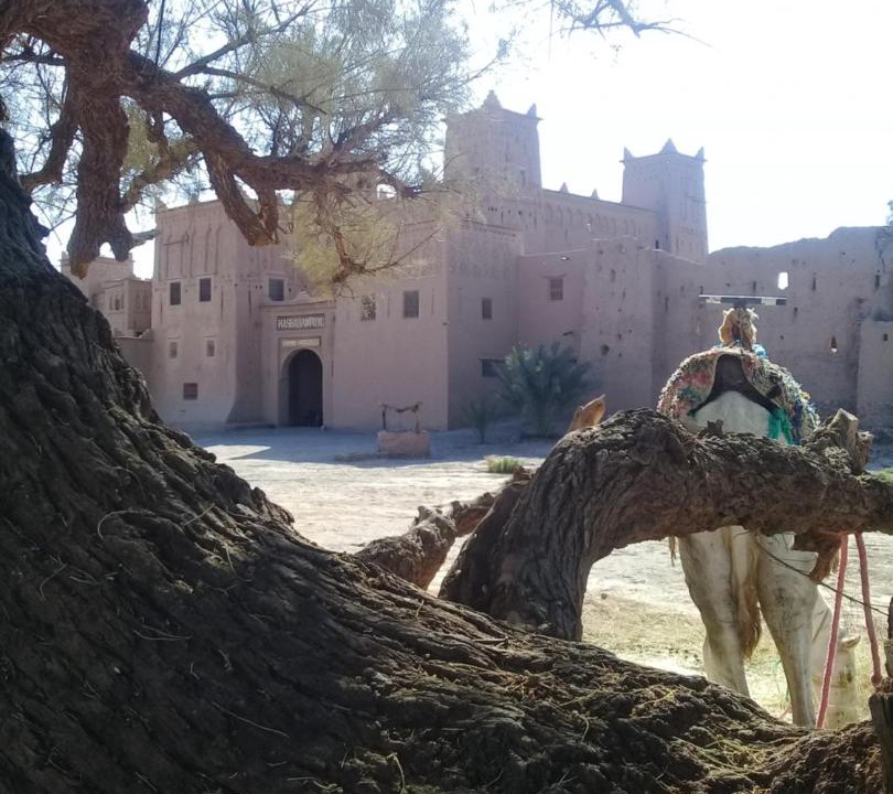Photo of Buildings in Skoura