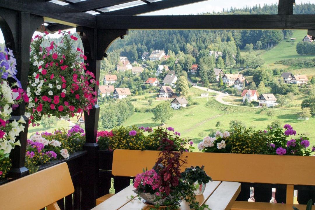 Photo of Patio Balcony in Sasbachwalden