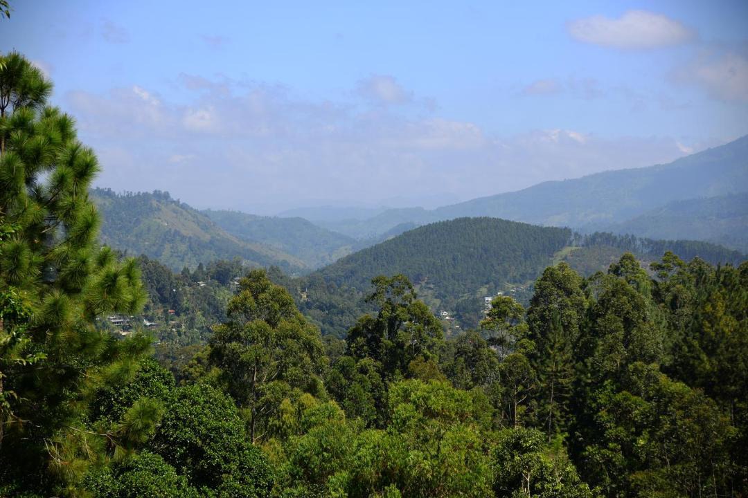 Photo of Outdoor in Ella