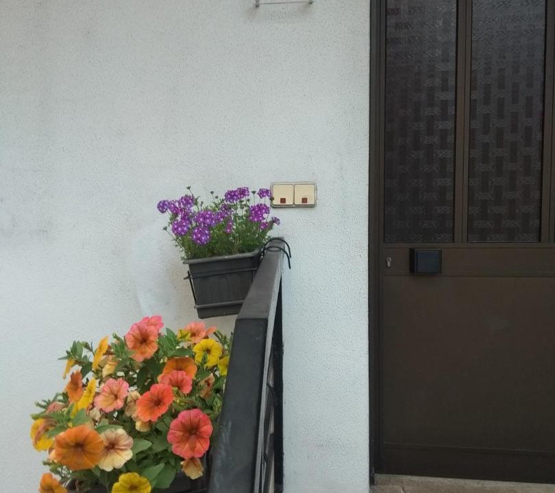 Photo of Others in Sao Tiaguinho